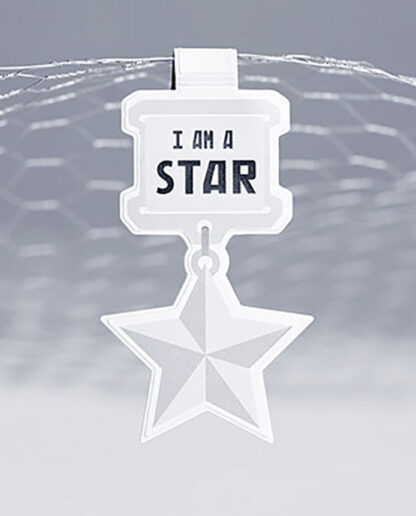 2015 Apparatjik I am a star magnetrefleks